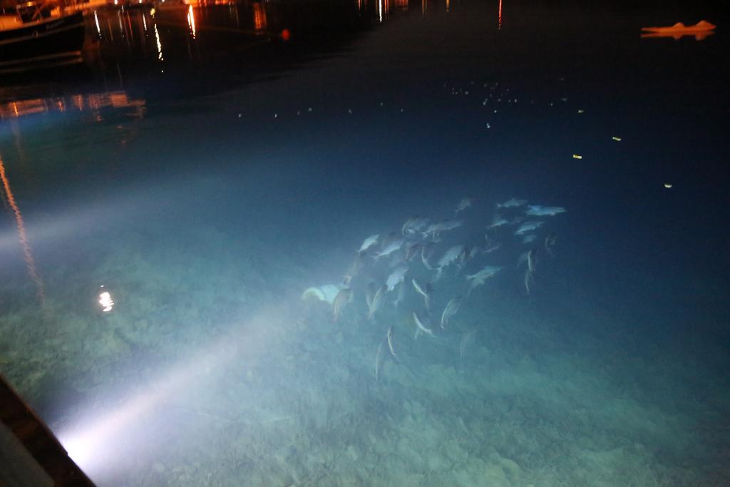 Dolphin Hotel Selimiye  Exterior photo